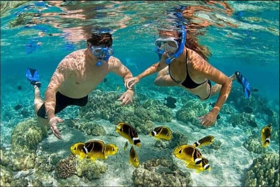 Speedboat Adventure and Snorkeling from Punta Cana - What the Two-Hour Format Means