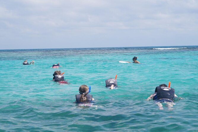 Speedboat Adventure and Snorkeling in Cancun - What the $19 Price Really Covers