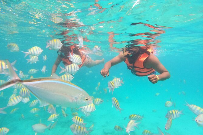 Speedboat Adventure to Snorkeling Spot and Natural Pool - Why Driving the Speedboat Changes the Excursion