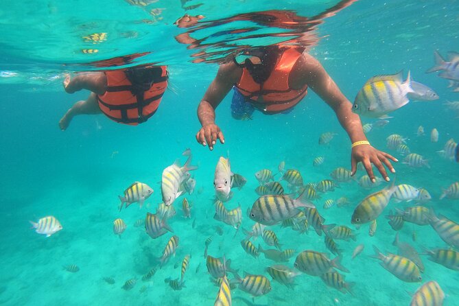 Speedboat Adventure to Snorkeling Spot and Natural Pool - The Natural Pool and Sandbar Finish