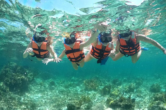 Speedboat and snorkel adventure - Meeting at Fred’s House in the hotel zone