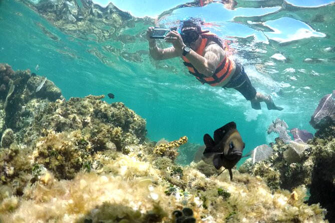 Speedboat and snorkel adventure - Group size, safety, and comfort