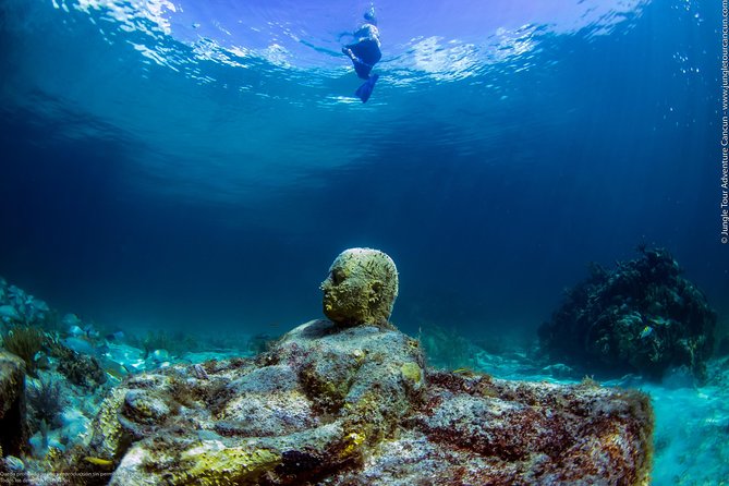 Speedboat and snorkel tour: Single Passenger Boat - Snorkeling the coral reefs and Underwater Museum