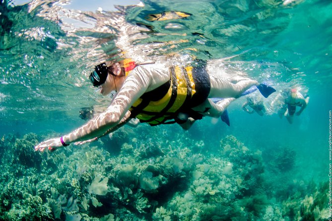 Speedboat and snorkel tour: Single Passenger Boat - Age rules and group suitability