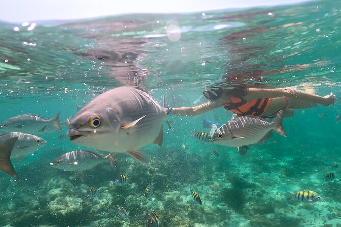 Speedboat and Snorkeling in Cancun with Mayan Ceremony & Tasting - A three-hour Cancun outing with real variety
