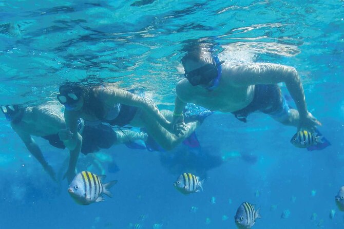 Speedboat Excursion: Thrilling Drive & Snorkel in Cancun Lagoon! - Is $59 a good price?