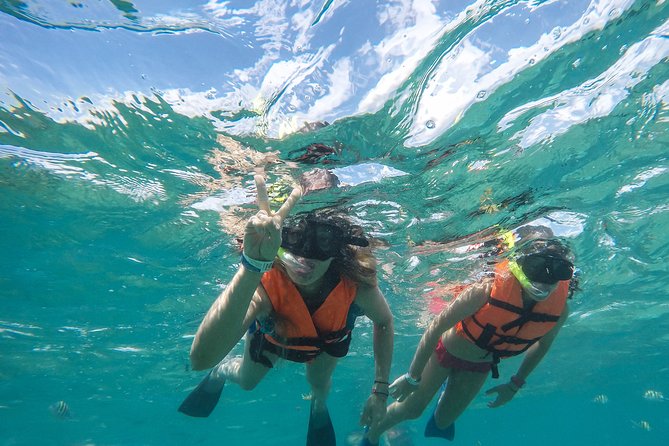 Speedboat jungle tour and snorkel - Practical details for a smoother morning
