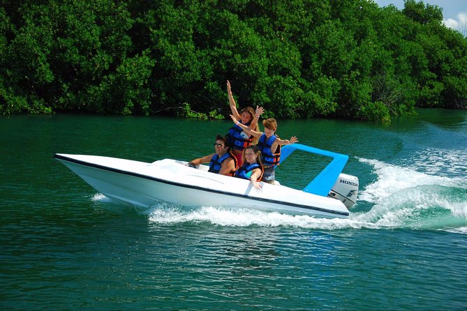 Speedboat jungle tour and snorkel - Snorkeling among Caribbean fish