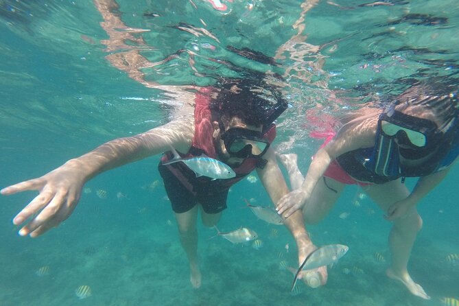 Speedboat Sailing with Snorkeling Experience in Punta Cana - Guides, boats, and the quality of the day