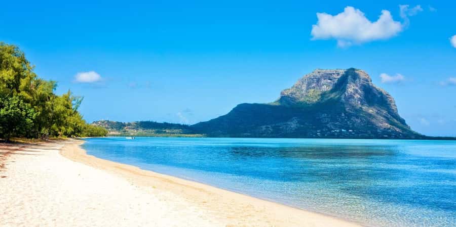 Speedboat to Ile aux Benitier: Dolphin Encounter & Lunch - What this six-hour west-coast outing is really like