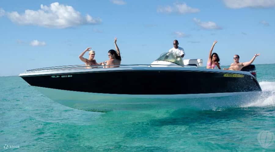 Speedboat to Ile aux Benitier: Dolphin Encounter & Lunch - Dolphin watching in Tamarin Bay