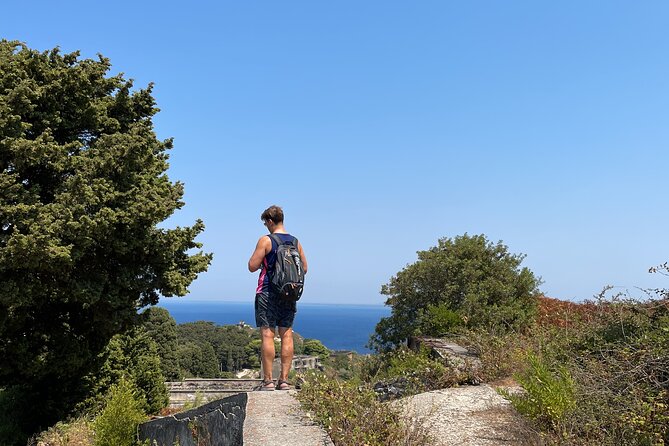 Speedboat to Sazan Island and Karaburun - Small Group Experience - Is $66.26 good value?