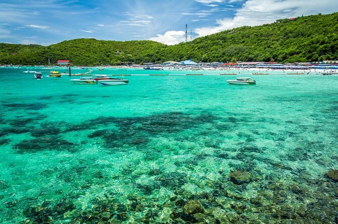 Speedboat Tour From Pattaya to Koh Larn Coral & Sak Island - Key points to know before booking