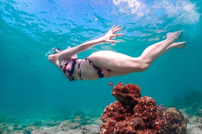 Speedboat Tour From Pattaya to Koh Larn Coral & Sak Island - What is included, and what may cost more