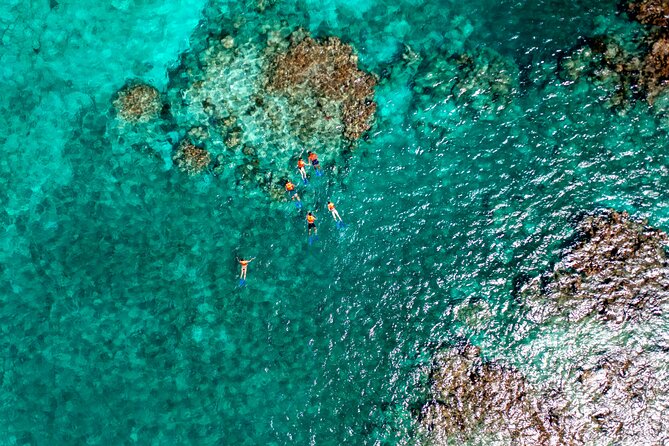 Speedboat Tour, Snorkel & Drinks - The Mayan ceremony and food tasting