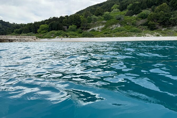Speedboat Tour to Sazan Island, Haxhi Ali Cave and Marine Park - What the $53.23 price really covers