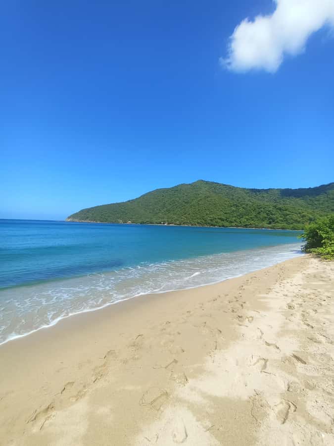 SPEEDBOAT TOUR TO TAYRONA CRISTAL BEACH - The 40 to 45-minute ride along the Santa Marta coast