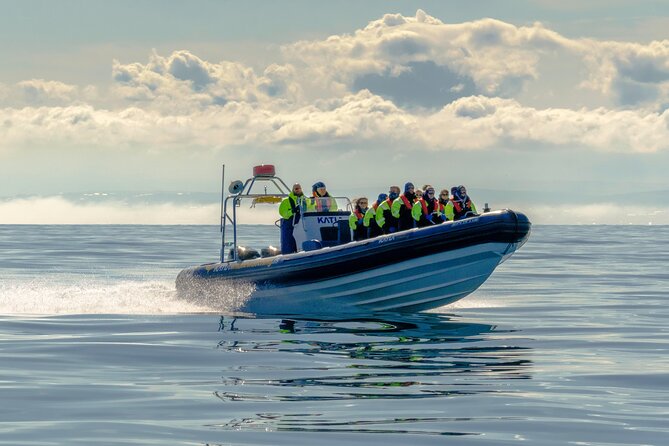Speedboat Whale Watching Small-Group Tour in Reykjavik - Why the RIB boat changes the whale-watching experience