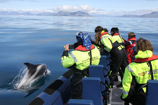Speedboat Whale Watching Small-Group Tour in Reykjavik - Sun Voyager from the water