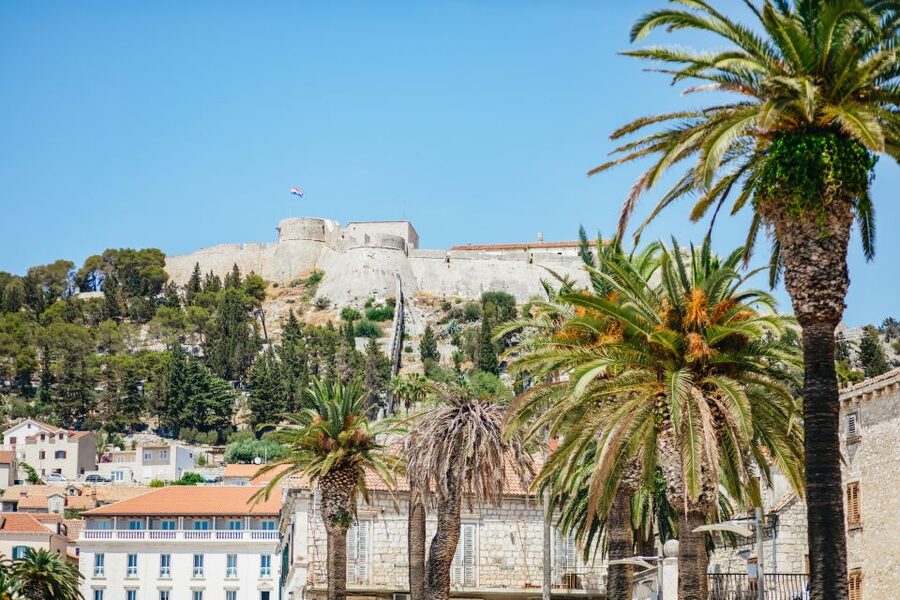 Split: Blue Cave, Vis & Hvar Full-Day Trip by Speedboat - Budikovac offers the best long swim