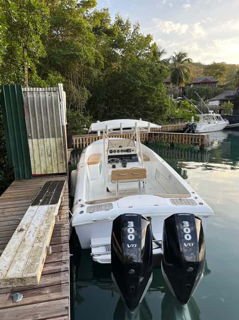 St Lucia: Private Speed Boat Tour from Castries - The Pitons and Soufriere
