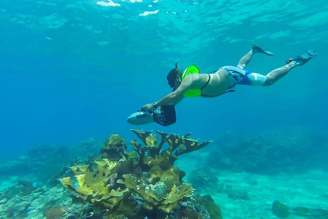 St. Lucia Speedboat and Power Snorkel From Castries - Key points to know before you book