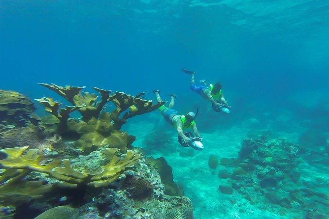 St. Lucia Speedboat and Power Snorkel From Castries - The equipment question