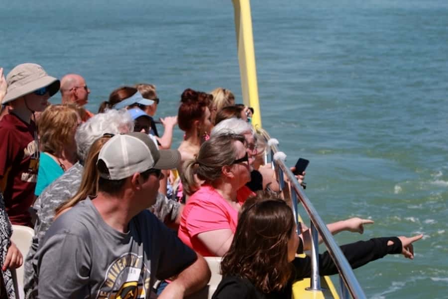 St. Pete Beach: Dolphin Racer Cruise by Speedboat - How much time the trip takes