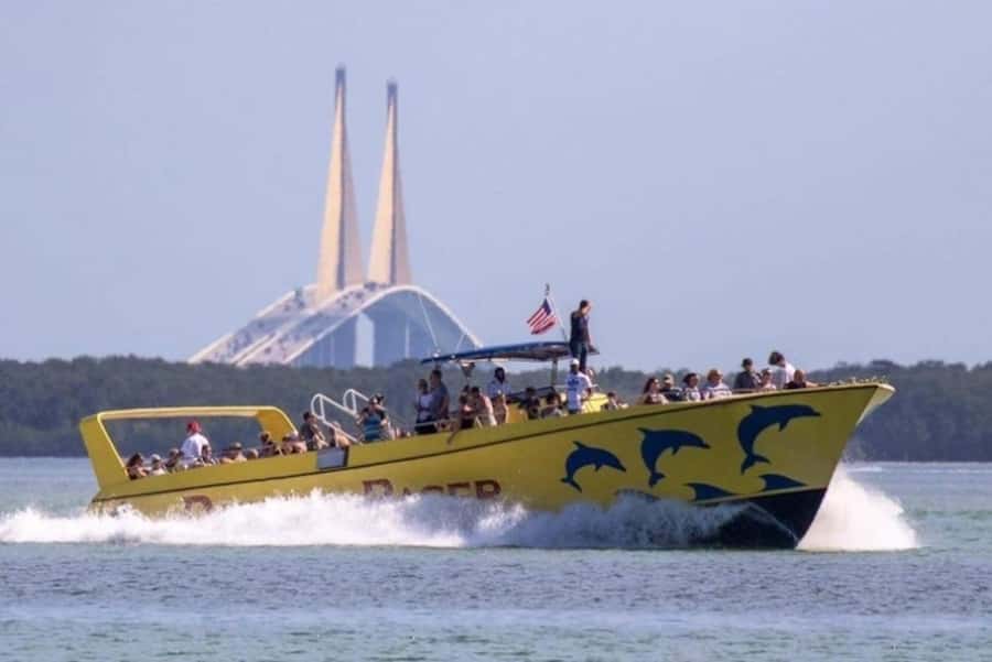 St. Pete Beach: Dolphin Racer Cruise by Speedboat - Following dolphins through the Gulf Beaches