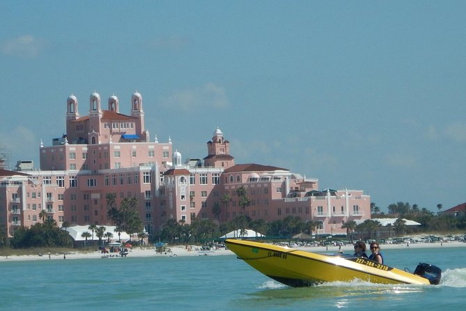 St Petersburg Speed Boat Adventure - Dolphins, birds, and the open water
