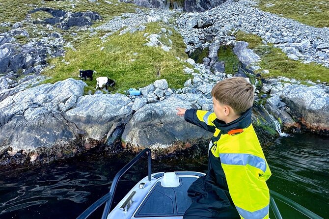 Stavanger: Guided Lysefjord Safari on Speedboat - Price, timing, and value at $160.09