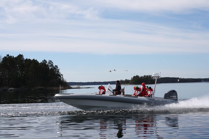 Stockholm RIB Speed Boat Tour - Nationalmuseum and the city waterfront