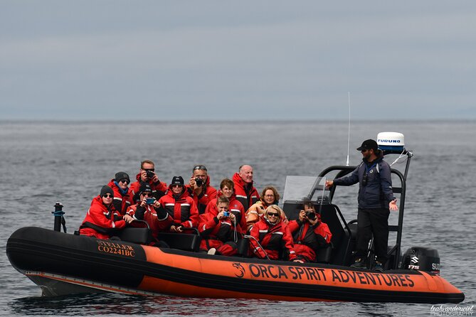 Summer Whale Watching Tour in a Zodiac Boat in Victoria - Race Rocks and the wildlife search