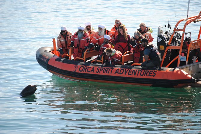 Summer Whale Watching Tour in a Zodiac Boat in Victoria - What the guides add to the outing
