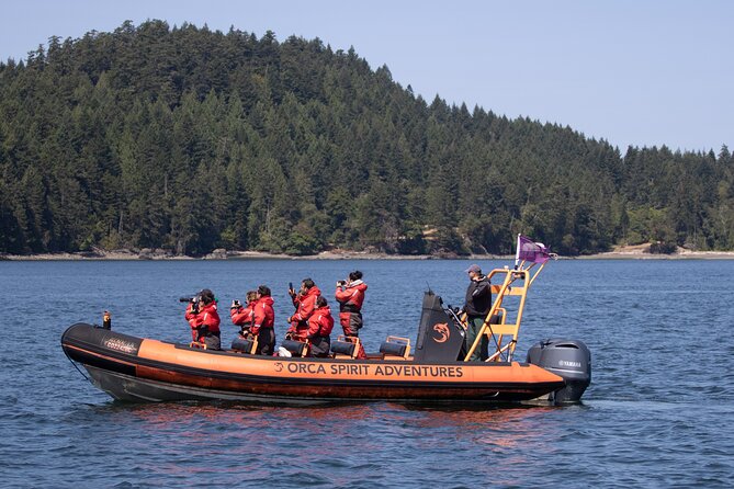 Summer Whale Watching Tour in a Zodiac Boat in Victoria - Survival suits, spray, and what to wear