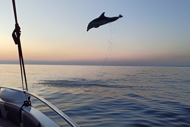 Sunrise Dolphins & Fishermen at Work speedboat tour in Rovinj - Why the fishing boats make this dolphin tour different