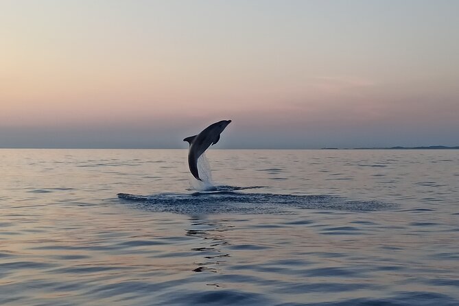 Sunrise Dolphins & Fishermen at Work speedboat tour in Rovinj - The first 20 to 30 minutes on the water