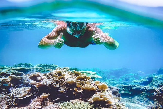 Surin Island Snorkeling by Speedboat from Khao Lak - Key points to know before booking
