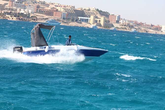 Swim with dolphin By Private Speed Boat and Sub wing Game - Hurghada - Swimming near dolphins at Dolphin House