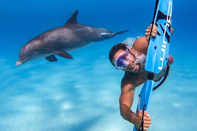 Swim with dolphin By Private Speed Boat and Sub wing Game - Hurghada - Snacks, drinks, and the real value of $50