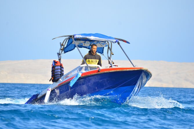 Swim with Dolphins Semi Private Speedboat Sea Tour - Hurghada - Should you book this Hurghada dolphin tour?
