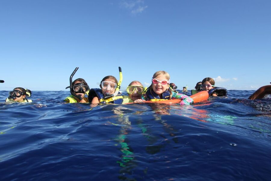 Swim with Wild Dolphins Oahu Speedboat Snorkeling Adventure! - Watching wild dolphins in open water