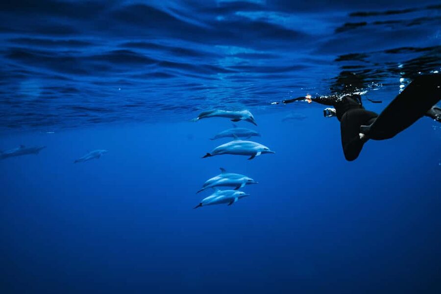 Swim with Wild Dolphins Oahu Speedboat Snorkeling Adventure! - Lunch, snacks, and a practical boat setup