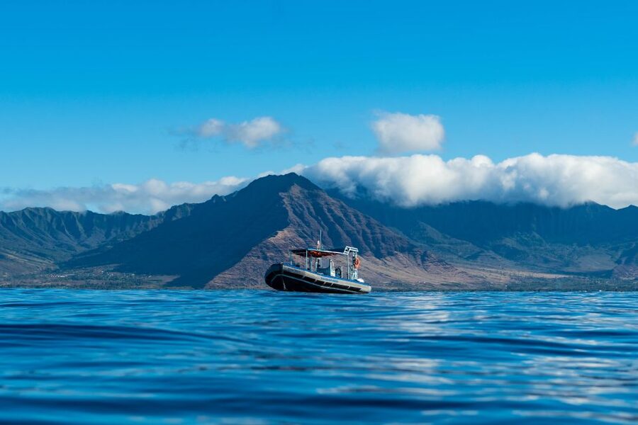 Swim with Wild Dolphins Oahu Speedboat Snorkeling Adventure! - How demanding is the water portion?