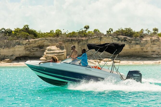 Swimming with Dolphins by Private Speed Boat - Hurghada - What is included, and what costs extra