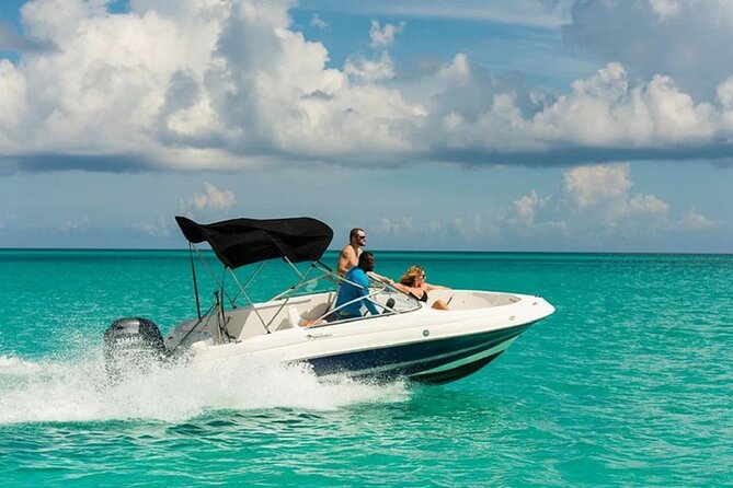 Swimming with Dolphins by Private Speed Boat - Hurghada - Who should book this Hurghada excursion