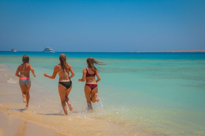 Swimming with Dolphins by Private Speed Boat - Hurghada - Booking, cancellation, and useful planning tips