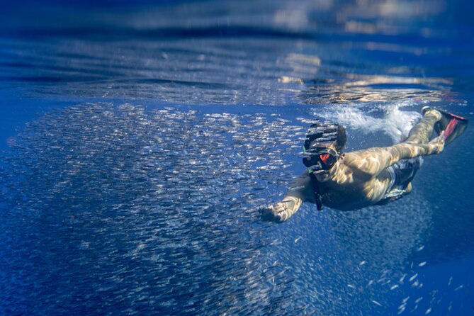 Swimming with Wild Dolphins Speedboat Adventure on Oahu - Lunch on board keeps the schedule simple