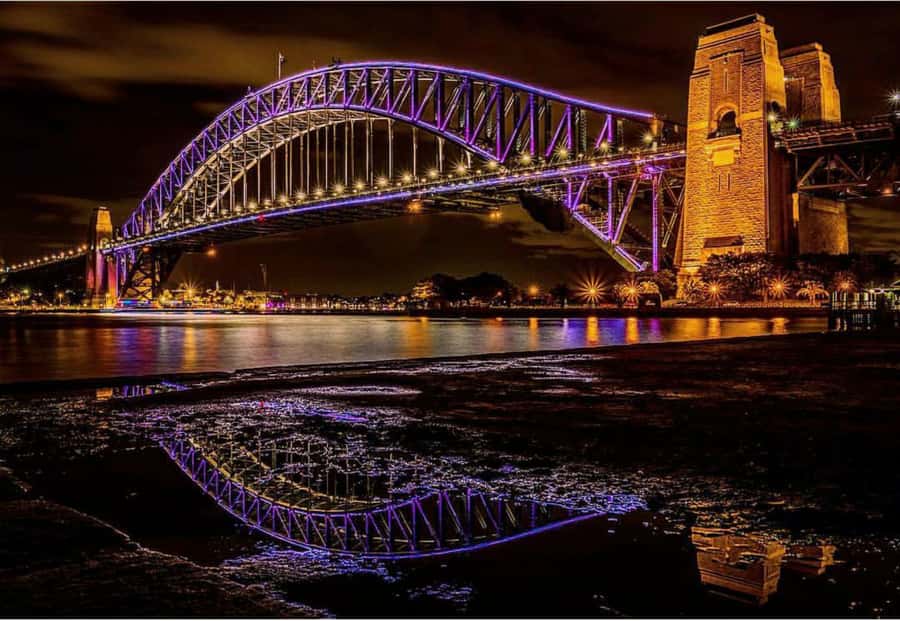 Sydney Harbour: 30 Minute Slow Jet Boat Vivid Cruise - Practical details for a smoother evening