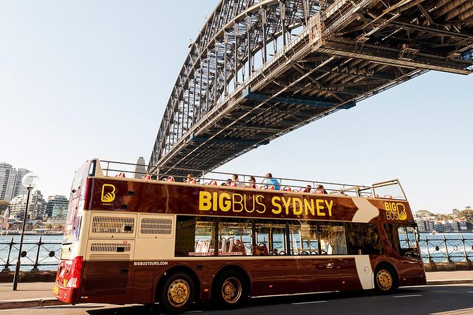 Sydney Speed Boat Adventure Harbour Tour - What the guide adds to the adventure